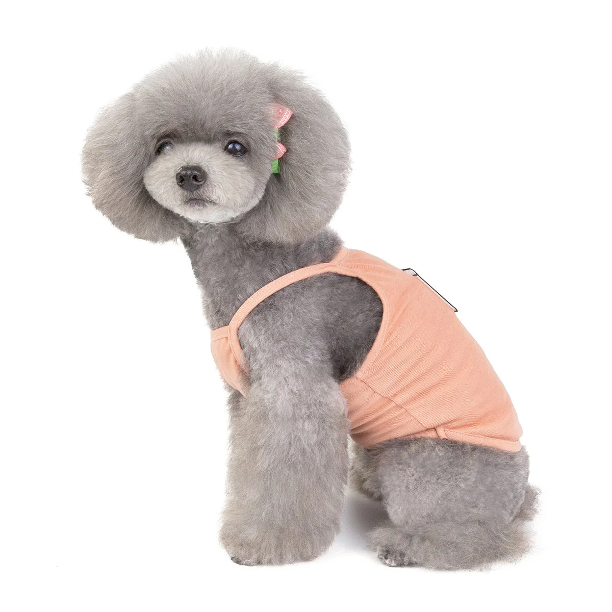 Pet clothing lady camisole